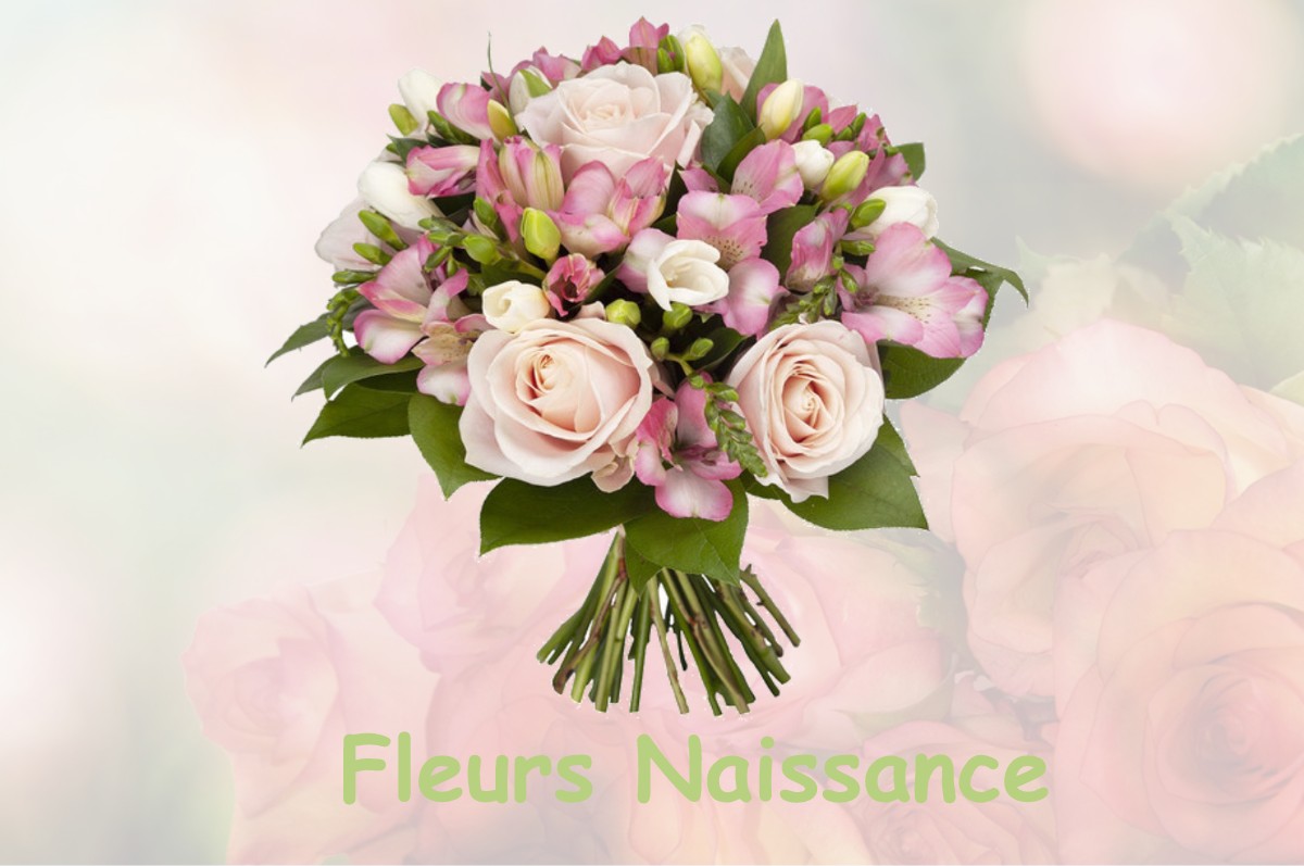 fleurs naissance PASSAVANT-LA-ROCHERE